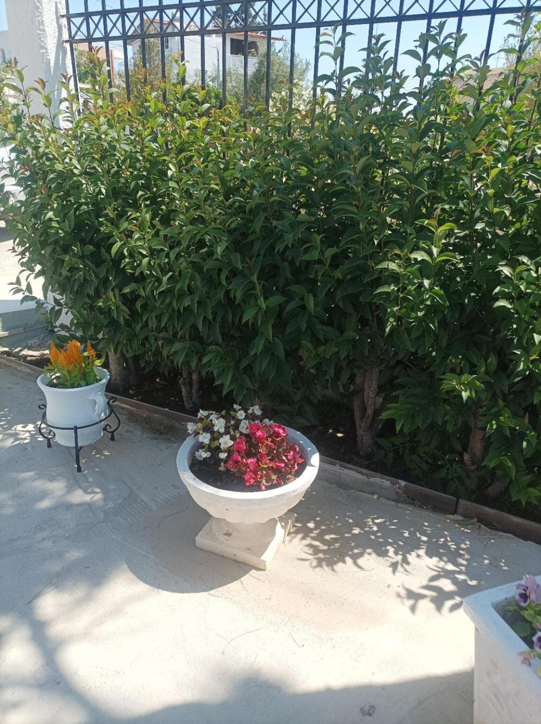 Selene House Vakantiehuis