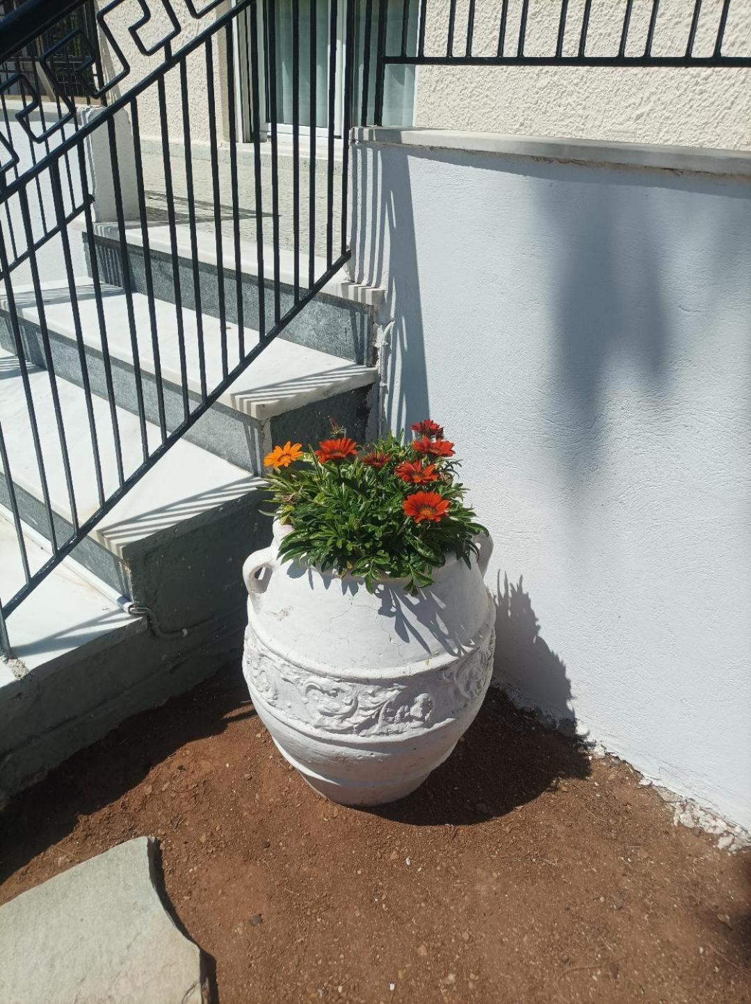 Vakantiehuis Selene House *